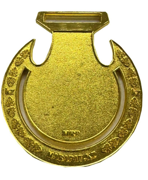 медаль торсык 2