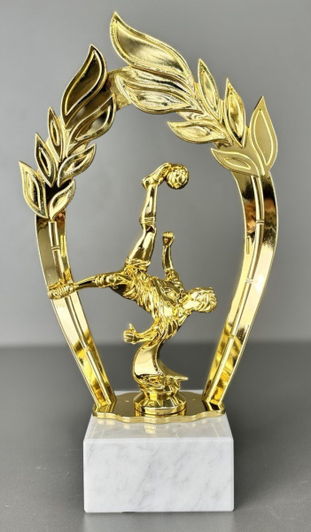 награда футбол 25-2607