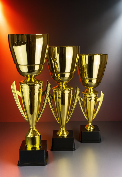 аристон фото