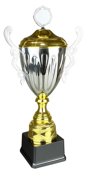 25-1011 кубок 2