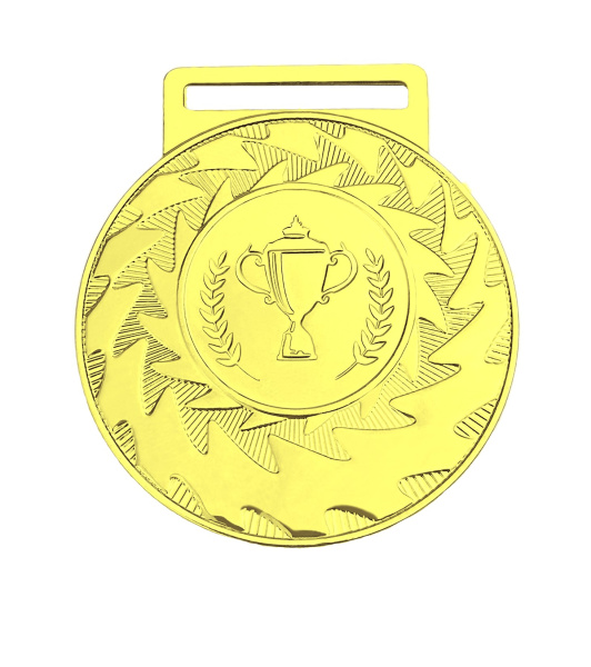 Медаль 2012-1502VIP (50 мм) РИВЕР золото