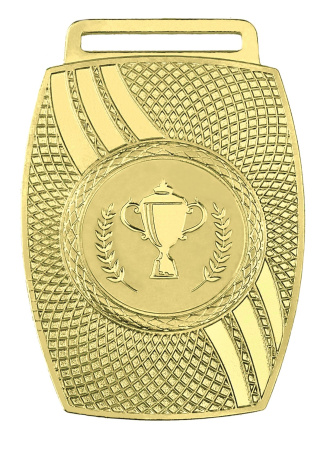 2009 золото