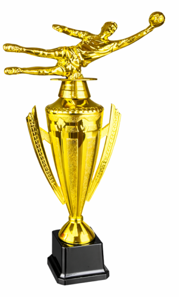 26-3401 вратарь