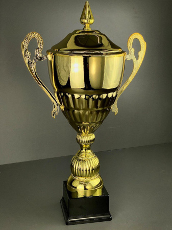 ВЕГА С КРЫШКОЙ ФОТО