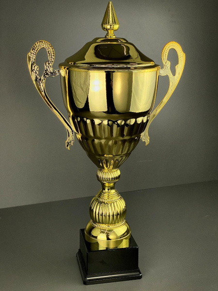 ВЕГА С КРЫШКОЙ ФОТО