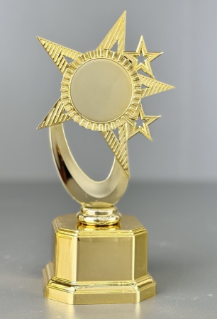 25-2007