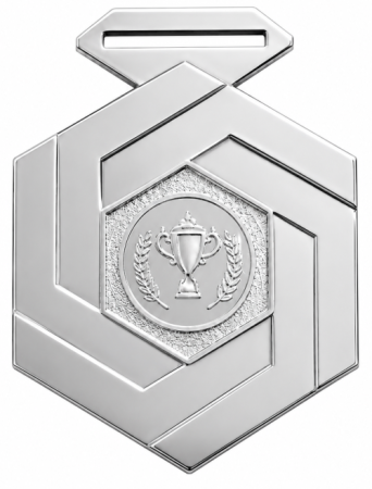 2029-2702 медаль серебро