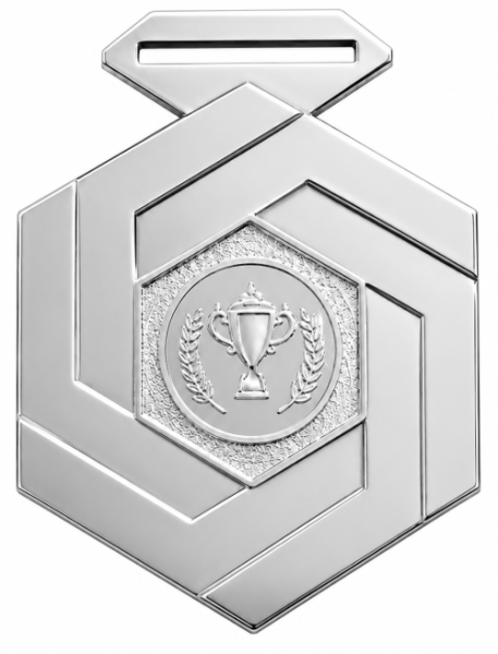 2029-2702 медаль серебро