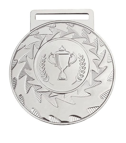 Медаль_2012_1502VIP_50_мм_РИВЕР_серебро