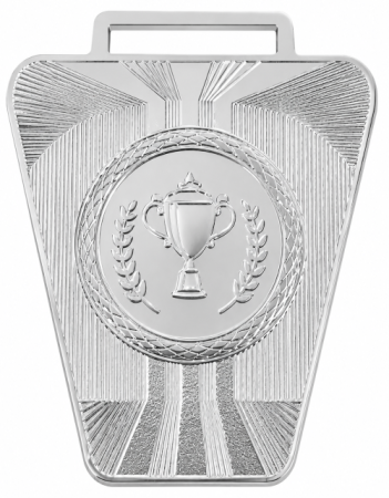 2010 серебро 1