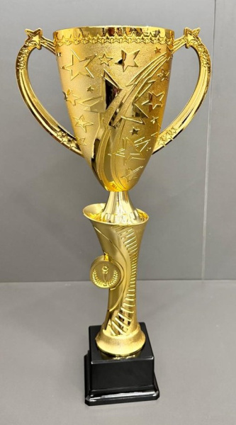 кубок салют