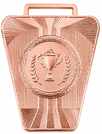 2010 бронза 1